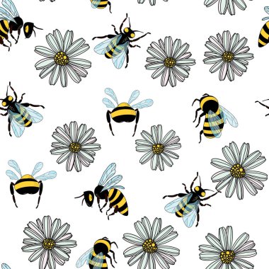 Kusursuz papatya çiçeği deseni, beyaz arka plan çizimi üzerinde uçan arılar. Güzel el çizimi çiçek deseni..