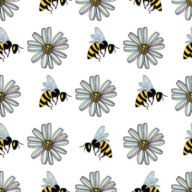 Kusursuz papatya çiçeği deseni, beyaz arka plan çizimi üzerinde uçan arılar. Güzel el çizimi çiçek deseni..