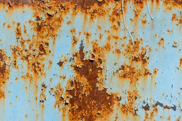 A rusty blue metal wall with fallen paint, a rusty background. — Stock Photo, Image