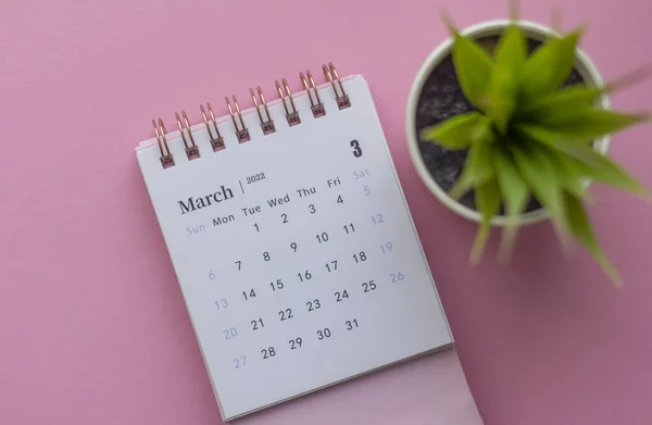 Calendario Marzo 2022 Sfondo Rosa Con Copia Dello Spazio Fotografia Stock