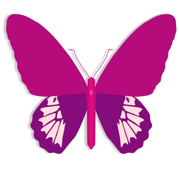 Pink butterfly — Stock Vector