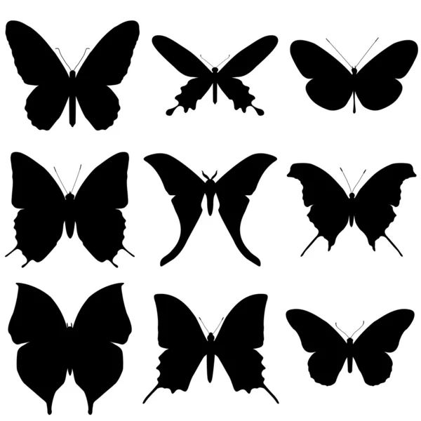 Ensemble silhouette papillon. Collection d'icônes . — Image vectorielle