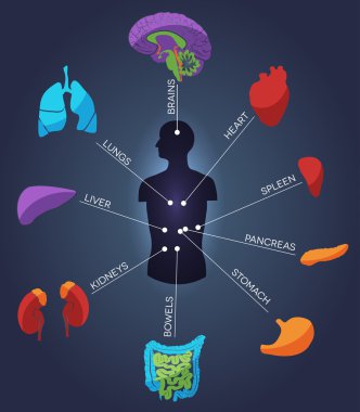 soyut renkli insan anatomisi