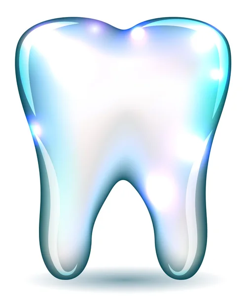 Weißer Zahn — Stockvektor