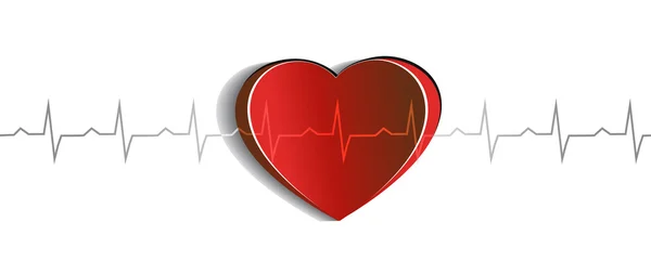 Heart and cardiogram — Stock Vector