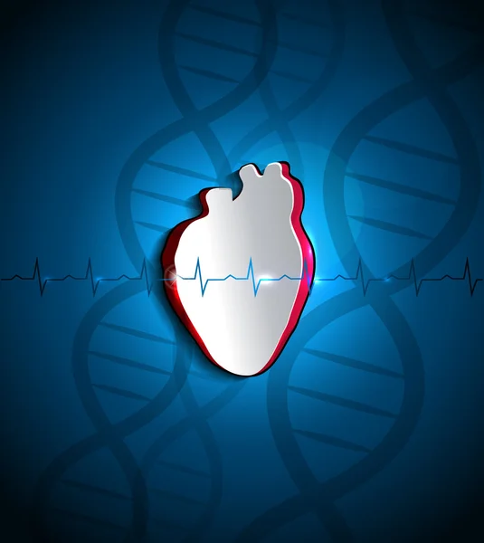 Серце і ДНК — стоковий вектор