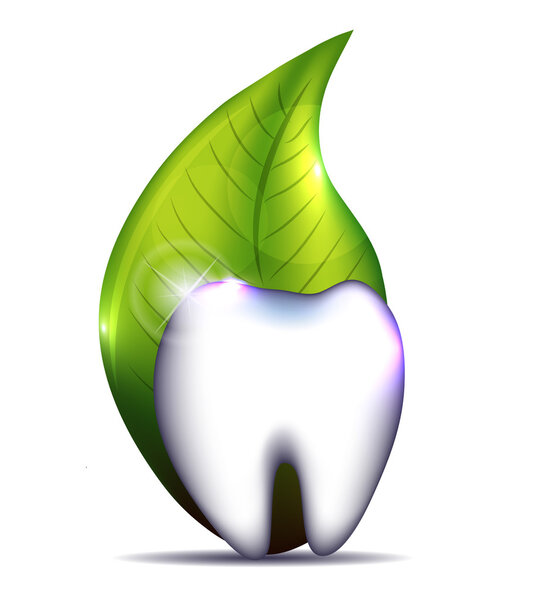 Tooth and leaf