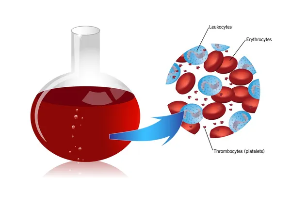 Cellules sanguines globules rouges, plaquettes, leucocytes — Image vectorielle