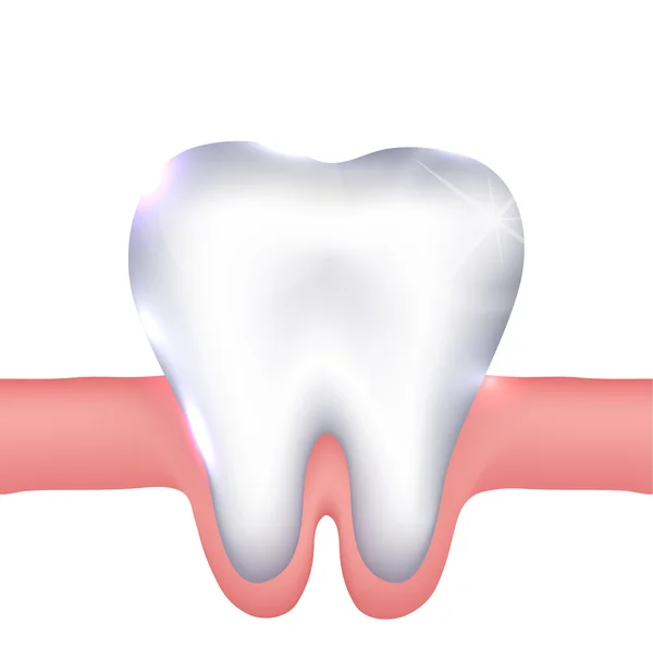 Sano dente bianco e gengive illustrazione . — Vettoriale Stock