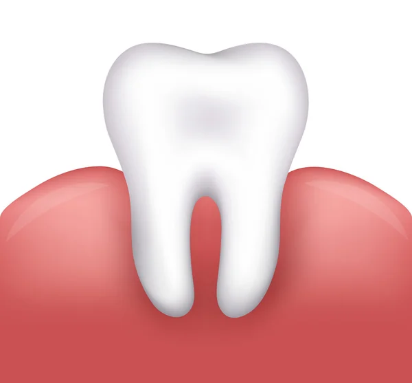 Bello sano dente e gengive — Vettoriale Stock