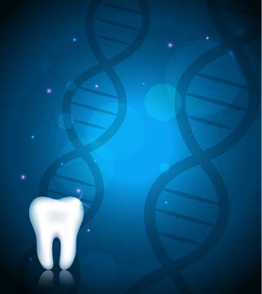 Зуб и ДНК — стоковый вектор