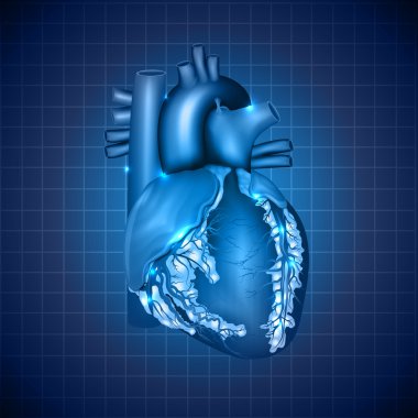 Human heart medical illustration, abstract blue design clipart