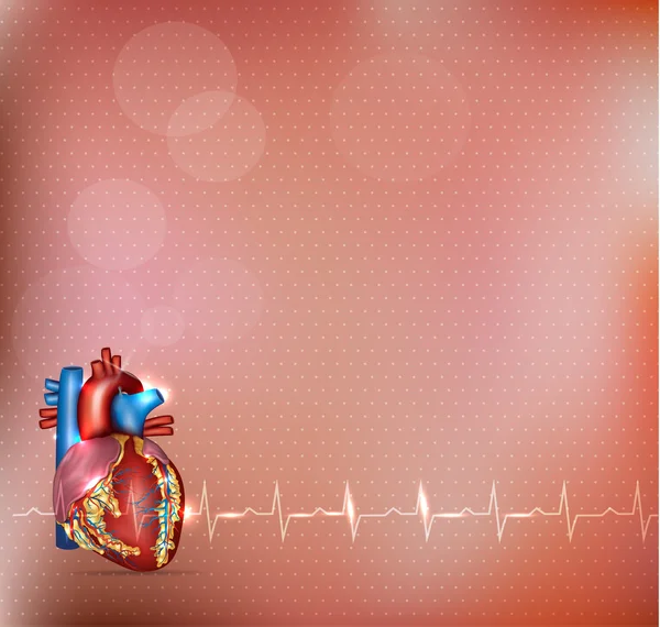 Cardiologia Antecedentes — Vetor de Stock