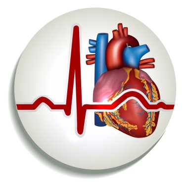 insan kalp ritmi simgesi