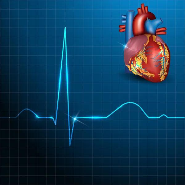 Ritmo cardíaco humano em um belo fundo azul com luz sha — Vetor de Stock
