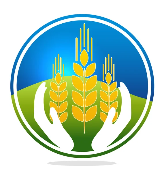 Wheat quality symbol — Stock Vector