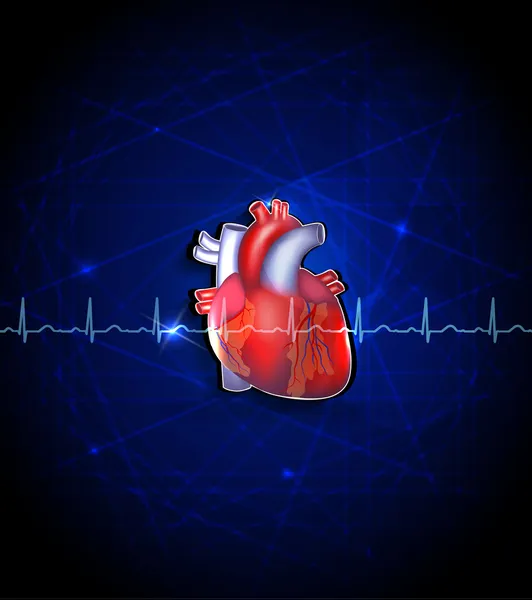 Heart anatomy on a deep blue background — Stock Vector