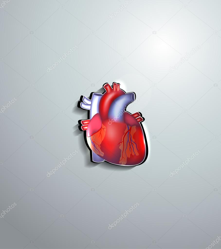 Human heart cut out of paper