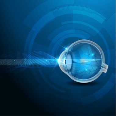 insan gözünün görme