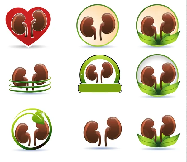 Huge set of kidneys icons — Stock Vector