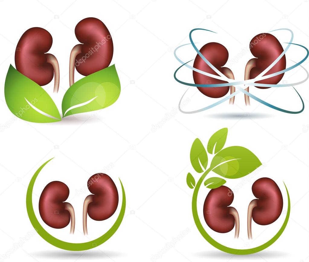 Kidneys protection symbol collection, isolated on white.  Combinations with green leaves and kidneys.