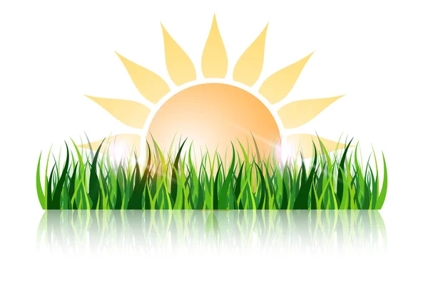 Sun and grass with reflection, beautiful simple design — Stock Vector