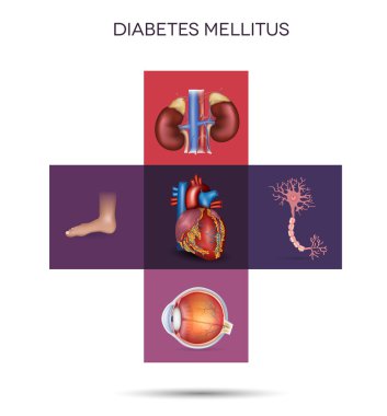 diabetes mellitus etkilenen organlar