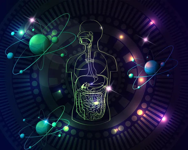 Kleurrijke menselijke anatomie achtergrond — Stockvector