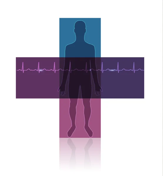 Human silhouette in the cross shape, normal sinus heart rhythm — Stock Vector