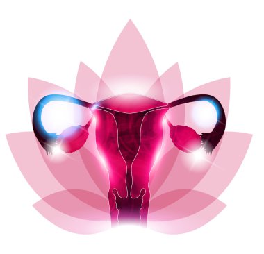 Female reproductive organs flower at the background clipart