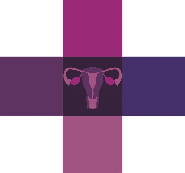 Utérus féminin normal en forme de croix blocs — Image vectorielle