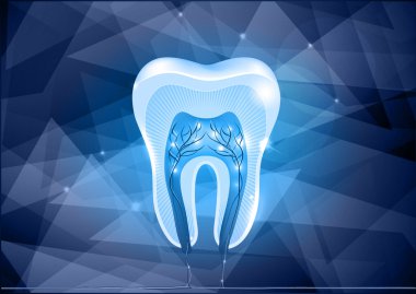 Tooth cross section design clipart