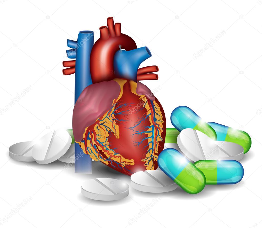 Heart anatomy and pills