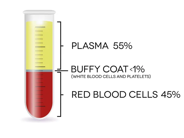 Reageerbuis met cellen van het bloed — Stockvector