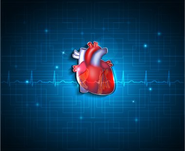 Healthy heart on a blue technology background clipart