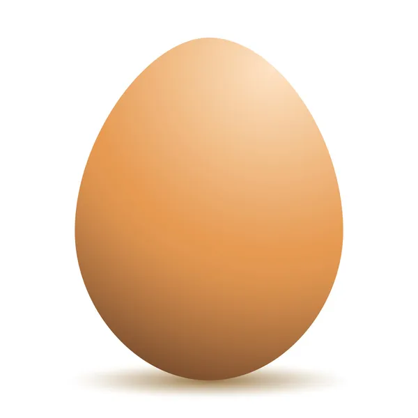 Realistic egg — Stock Vector