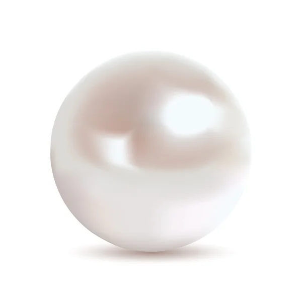 Fotorealistisk pearl — Stock vektor