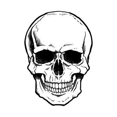 Black and white human skull with jaw