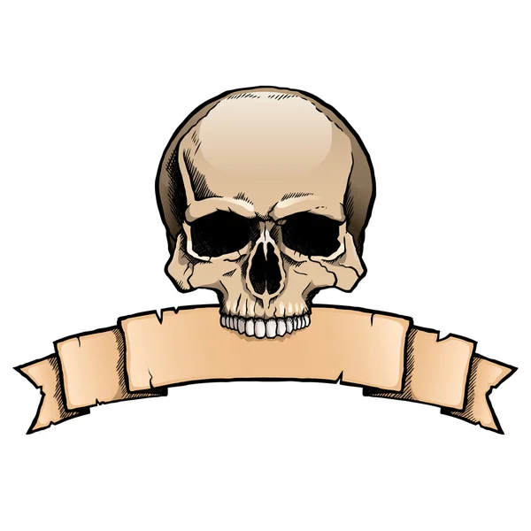 Crâne humain coloré avec bannière de ruban — Image vectorielle