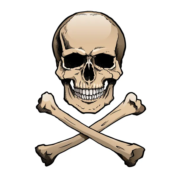 Barevné lidská lebka a zkřížené kosti — Stockový vektor