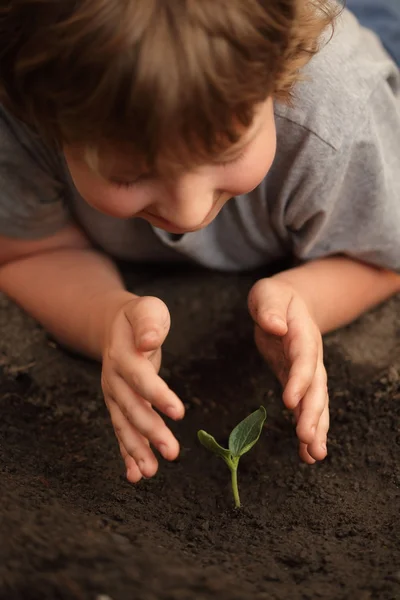 Germoglio nella mano dei bambini — Foto Stock