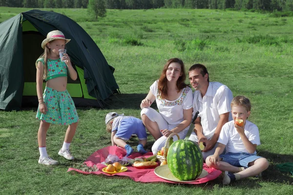 Сімейний пікнік на відкритому повітрі з їжею — стокове фото