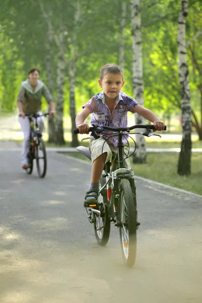 Familie op fiets fietsen in park — Stockfoto