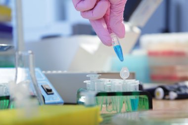 deney laboratuvarları