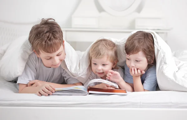 Три мальчика читают книгу в помещении — стоковое фото