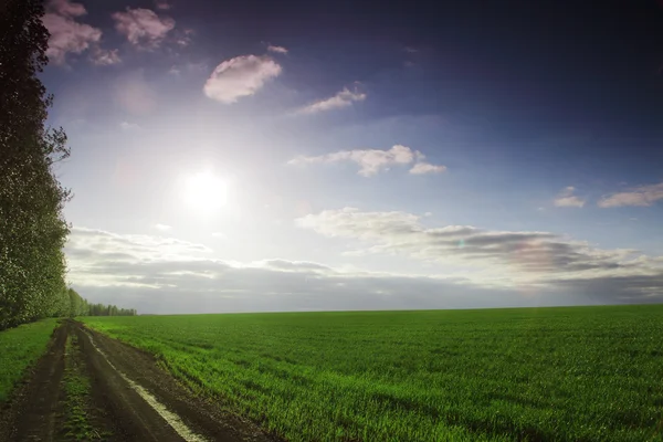 Paesaggio estivo — Foto Stock