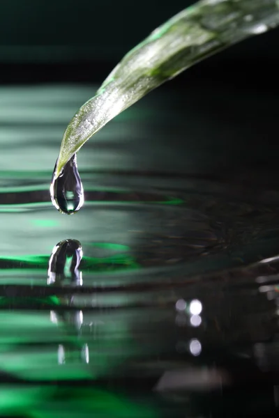 Goutte d'eau sur feuille verte — Photo