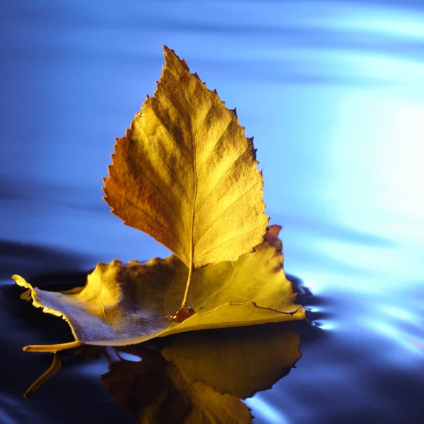 Blad schip in blauwe water — Stockfoto