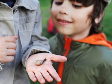 Çocuk salyangoz öğrenmek, salyangoz üzerinde odak