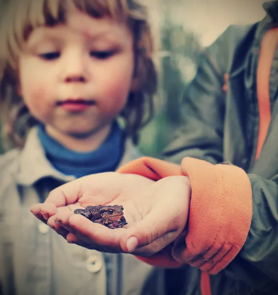 Children see a toad found in the forest — Stock Photo, Image